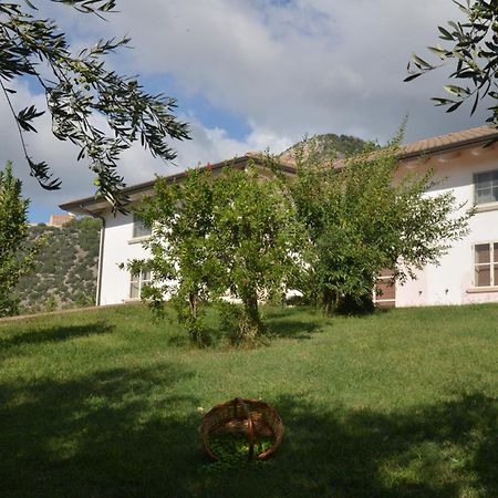 B&B Macchia D'Olmo Capaccio Zewnętrze zdjęcie