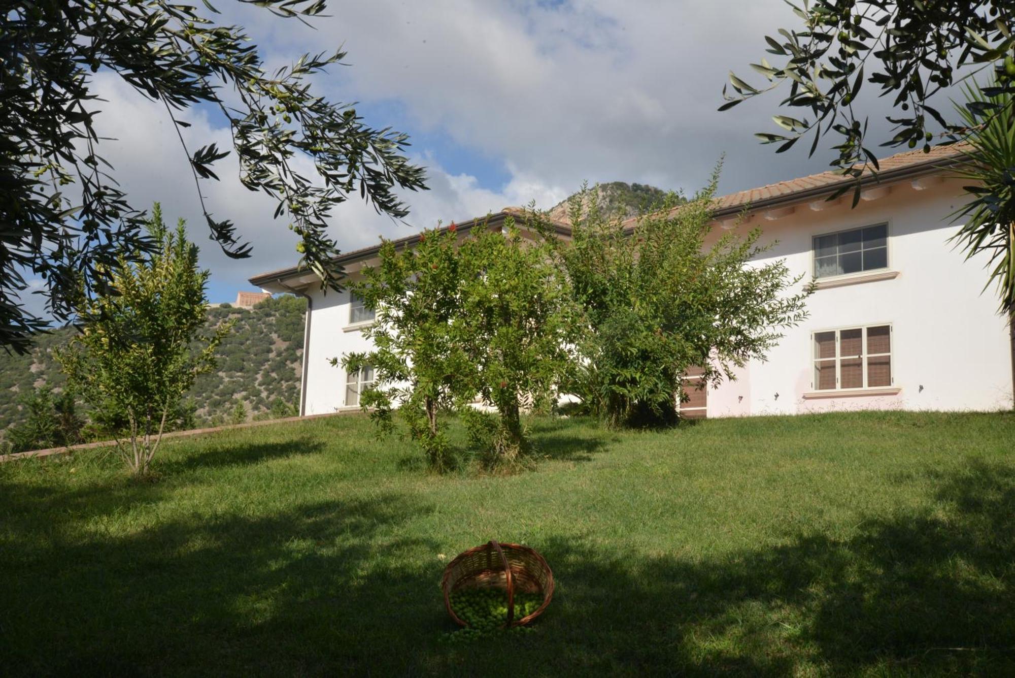 B&B Macchia D'Olmo Capaccio Zewnętrze zdjęcie