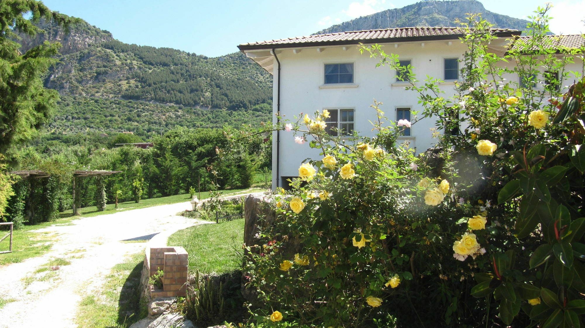 B&B Macchia D'Olmo Capaccio Zewnętrze zdjęcie
