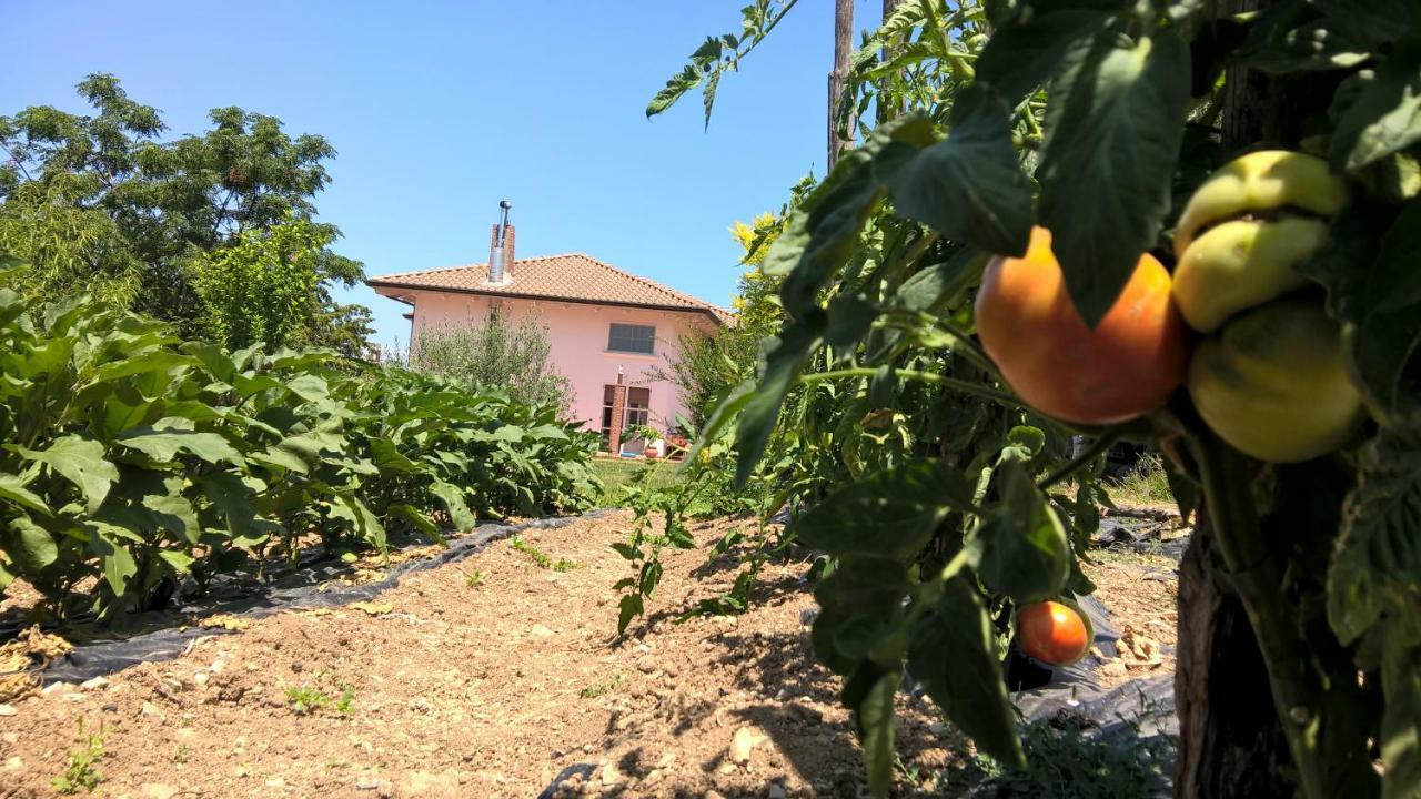 B&B Macchia D'Olmo Capaccio Zewnętrze zdjęcie
