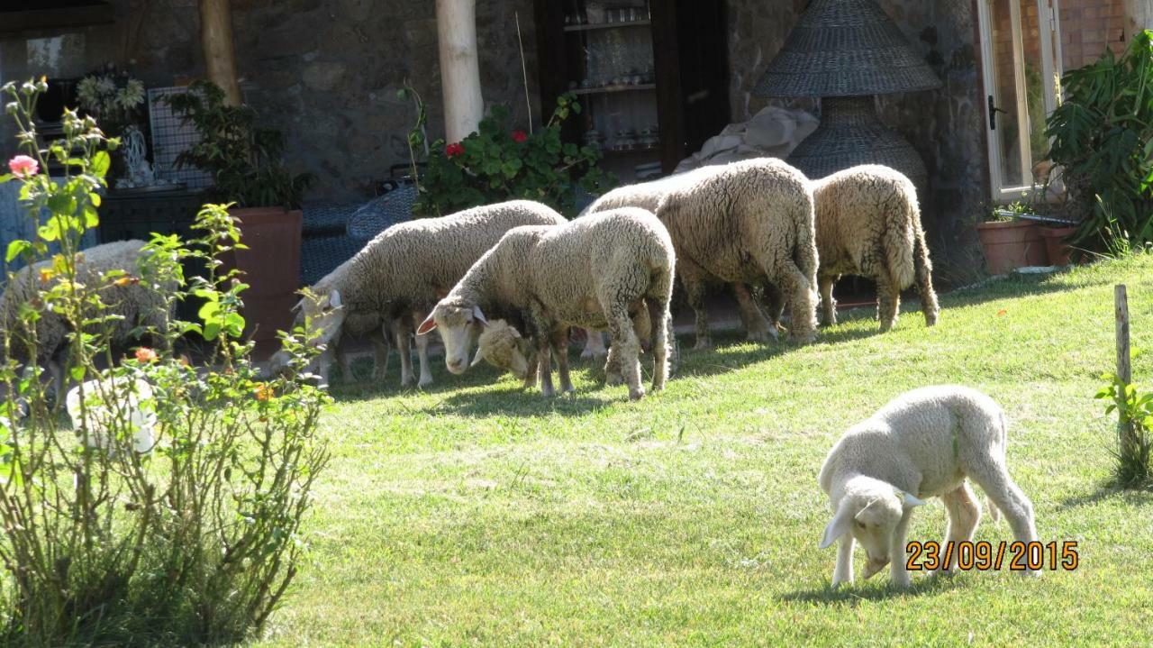 B&B Macchia D'Olmo Capaccio Zewnętrze zdjęcie