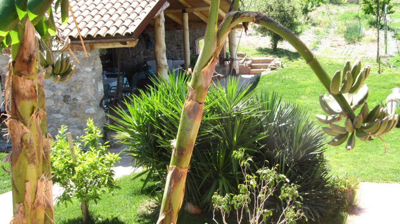 B&B Macchia D'Olmo Capaccio Zewnętrze zdjęcie